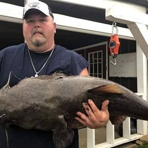 Meet your Posher, Willie